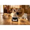 Novērošanas kamera Enabot Family Robot IP Camera ROLA PetPal WH287304