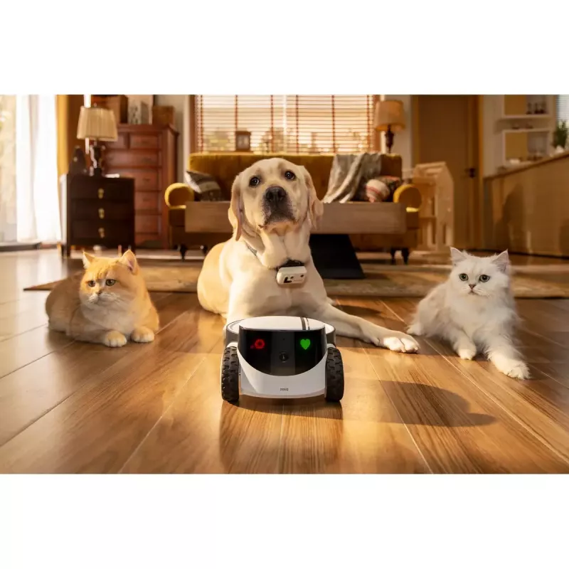 Novērošanas kamera Enabot Family Robot IP Camera ROLA PetPal WH287304