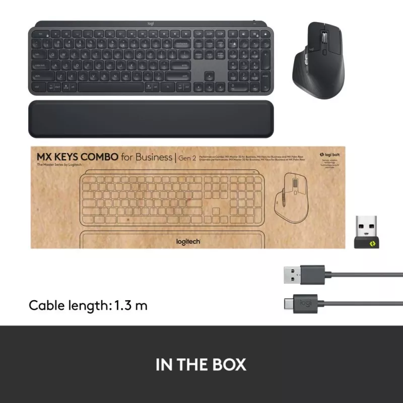 LOGITECH MX Keys Combo For Business Gen 2 - Graphite - Qwertz - Deutsch
