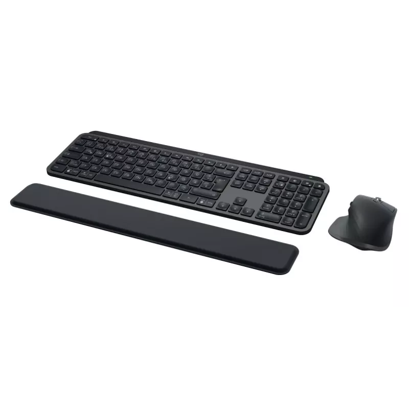 LOGITECH MX Keys Combo For Business Gen 2 - Graphite - Qwertz - Deutsch
