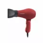 Matu žāvētājs Esperanza Aurora EBH003R 2200W