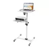 Techly Universal Trolley for Notebook / Projector, Balts ICA-TB TPM-6