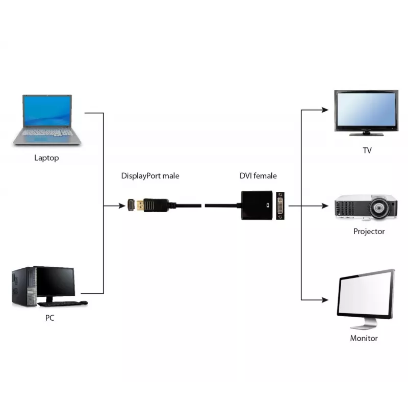 GEMBIRD DisplayPort–DVI adaptera kabelis – melns