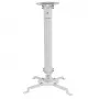 Techly Projectora griestu stiprinājuma pagarinājums 545–900 mm sudraba krāsā ICA-PM 18M