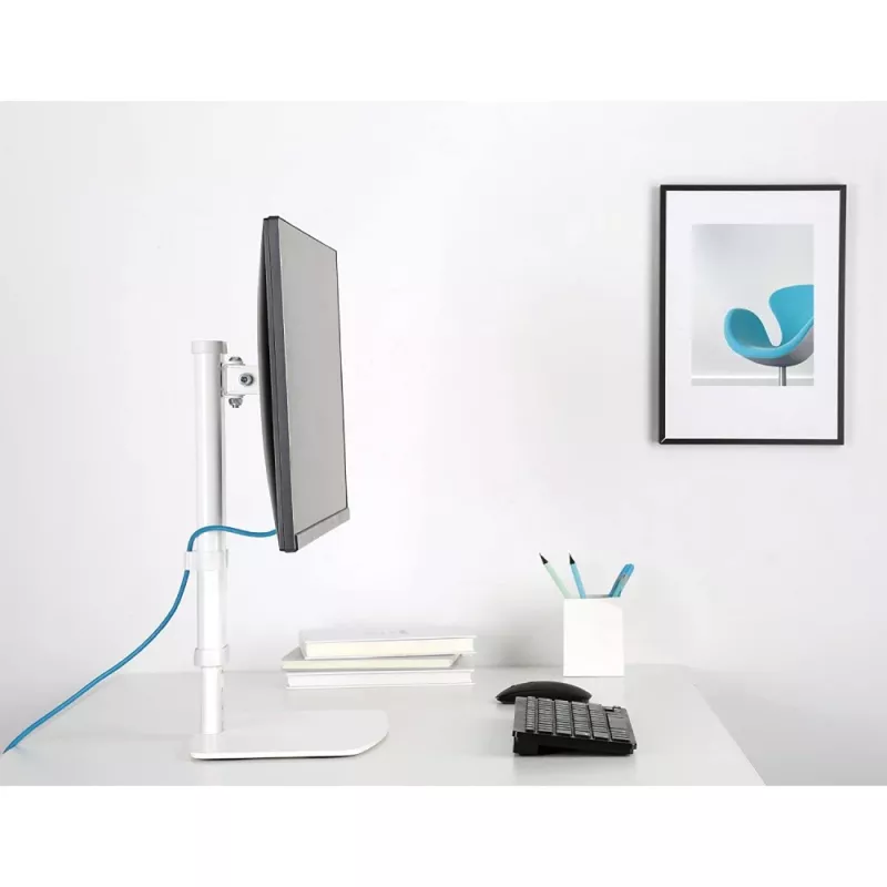 Techly ICA-LCD 260 monitora stiprinājums / statīvs 68,6 cm (27 collas) galdam, balts