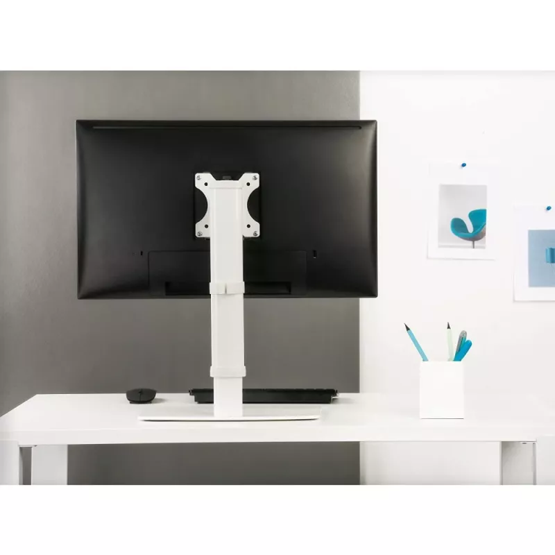 Techly ICA-LCD 260 monitora stiprinājums / statīvs 68,6 cm (27 collas) galdam, balts