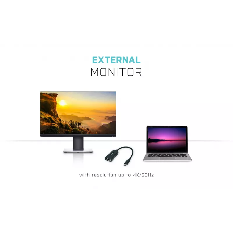 i-tec USB-C Display Port adapteris 4K/60 Hz