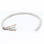 Intellinet tīkla kabelis vairumā Cat6, 23 AWG, viendzīslas vads, 305 m, pelēks, CCA, U/UTP, kaste