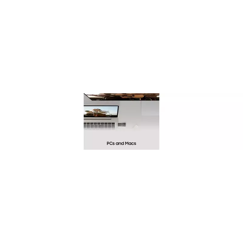 Samsung MUF-256BE USB zibatmiņa 256 GB USB Type-A 3.2 Gen 1 (3.1 Gen 1) Pelēks