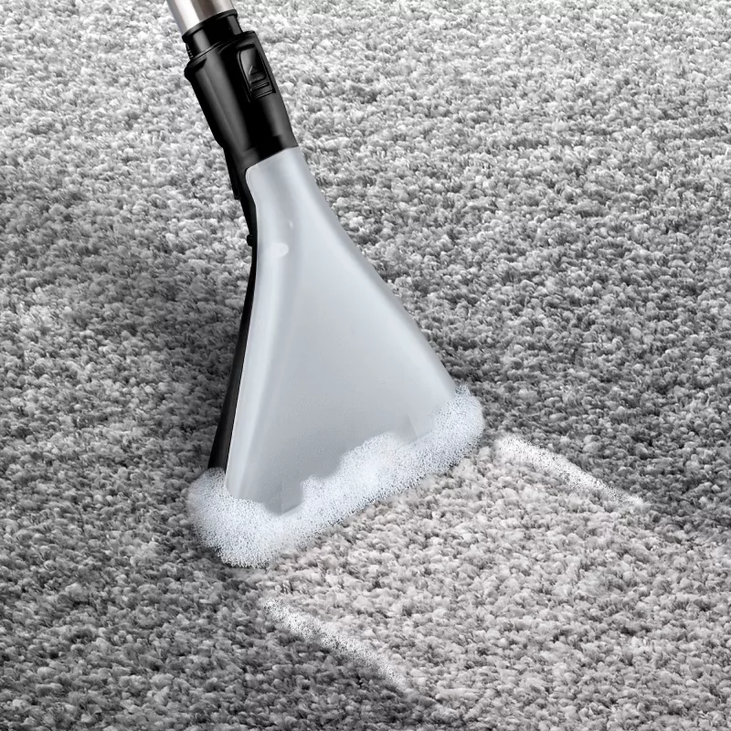 Bosch Serie 4 BWD421PET putekļsūcējs 5 L cilindriskā putekļsūcējs sausā un mitrā tīrīšana 2100 W