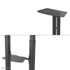 Neomounts PLASMA-M1950E TV statīvs 60–100 collas