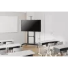 Neomounts PLASMA-M1950E TV statīvs 60–100 collas