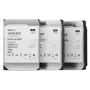 SYNOLOGY Cietais disks Has530012t - 12TB - SAS 12gb/s - 3.5in - 7200rpm