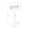 Grīdas TV stiprinājums TECHLY ICA-TR27 32–55 collu (81,3–139,7 cm), VESA 100x100–600x400, slīpums -15–0°, maks. slodze 40 kg, melns