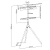 Grīdas TV stiprinājums TECHLY ICA-TR18SAM 45 collu–65 collu (114,3–165,1 cm) televizoriem, VESA 200x200–600x400, kravnesība 32 kg, riekstkoka krāsā