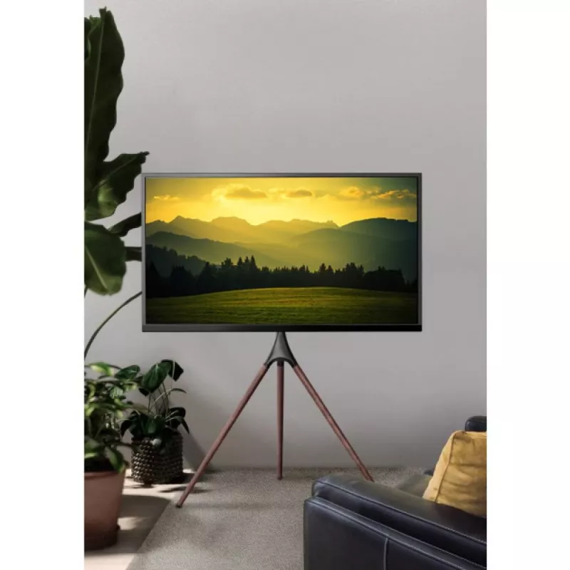 Grīdas TV stiprinājums TECHLY ICA-TR18SAM 45 collu–65 collu (114,3–165,1 cm) televizoriem, VESA 200x200–600x400, kravnesība 32 kg, riekstkoka krāsā