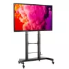 Techly tērauda ratiņu grīdas balsts ar regulējamu augstumu, televizoram no 60 inch līdz 100 inch
