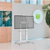 Techly ICA-TR49W multivides ratiņi/statīvs balts plakanam panelim