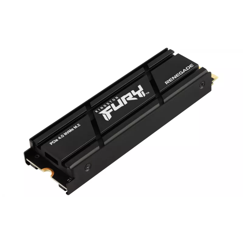 SSD disks Kingston Technology 4TB M.2 PCIe 4.0 RENEGADE