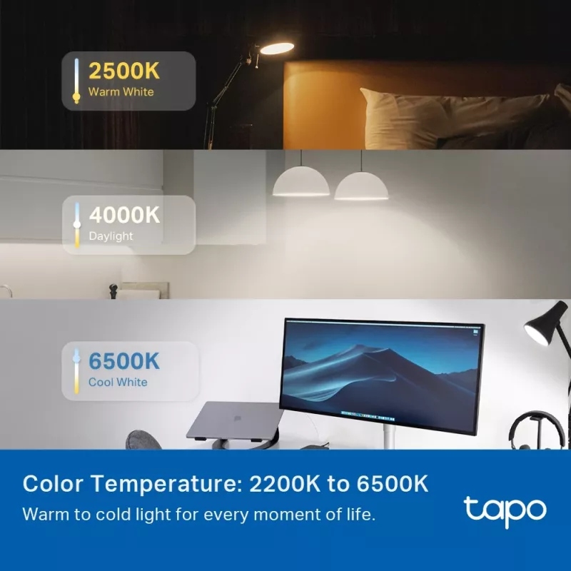 TP-Link Tapo viedā spuldze, daudzkrāsu, Matter, viedā spuldze, Wi-Fi/Bluetooth, balta, 802.11b, 802.11g, Wi-Fi 4 (802.11n), WPA-PSK, WPA2-PSK, WPA3-SAE, LED