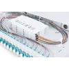 DIGITUS optiskās šķiedras slīdošā savienojuma kārba, 1U, aprīkota ar 24x LC duplex, iekļ. M 25 skrūvi, savienojuma kaseti, OM3 krāsainiem savienotājiem, adapteri