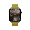 APPLE 42mm Chartreuse Modern Buckle - Large