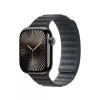 APPLE 42mm Black Magnetic Link - M/l