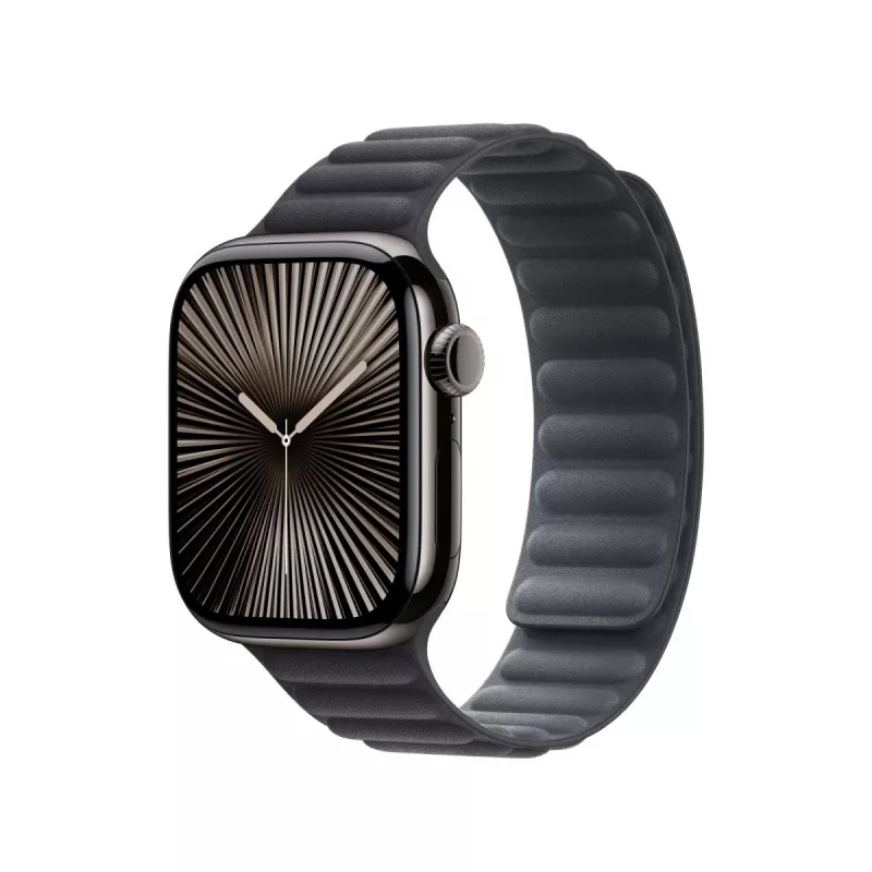 APPLE 42mm Black Magnetic Link - M/l