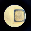 Izglītojošais mikroskops Liscianigiochi Im A Genius 304-PL97388 — bērnu optiskais komplekts ar palielinājumu mācībām