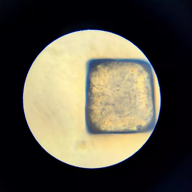 Izglītojošais mikroskops Liscianigiochi Im A Genius 304-PL97388 — bērnu optiskais komplekts ar palielinājumu mācībām