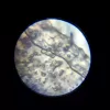 Izglītojošais mikroskops Liscianigiochi Im A Genius 304-PL97388 — bērnu optiskais komplekts ar palielinājumu mācībām