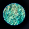 Izglītojošais mikroskops Liscianigiochi Im A Genius 304-PL97388 — bērnu optiskais komplekts ar palielinājumu mācībām