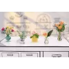 Miniverse - Make It Mini Botanicals, 8 gadi, Daudzkrāsains, Plastmasa
