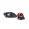 Kensington K62440WW Slim Duo Gel plaukstas balsts pelei / bumbiņpelei, 192 x 72 x 22 mm, sarkans