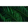 Philips 5000 sērijas 24B2G5200/00 datora monitors 60,5 cm (23,8 collas) 1920 x 1080 pikseļi Full HD LCD Antracīts