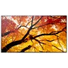 Sharp MultiSync M552 Digitālo informatīvo displeju plakanais panelis 139.7 cm (55 collas) LCD 550 cd/m² 4K Ultra HD Melns Skārienekrāns