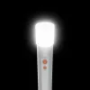 Rokas lukturītis Hama FL250 LED 3W Alumīnija Sudraba