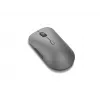 Lenovo Pro Plus 6050 pele Birojs Piemērota abām rokām RF Wireless + Bluetooth Optiskā 2400 DPI