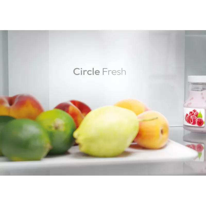 Candy Fresco ECN2CQTEW186 Brīvi stāvošs 355 L Balts