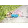 Leļļu mīlulis ZAPF BABY born My Dog Lucky ar kasti — tekstils/plastmasa, daudzkrāsains, vecumam 3–12 gadi, nepieciešamas 4×AAA