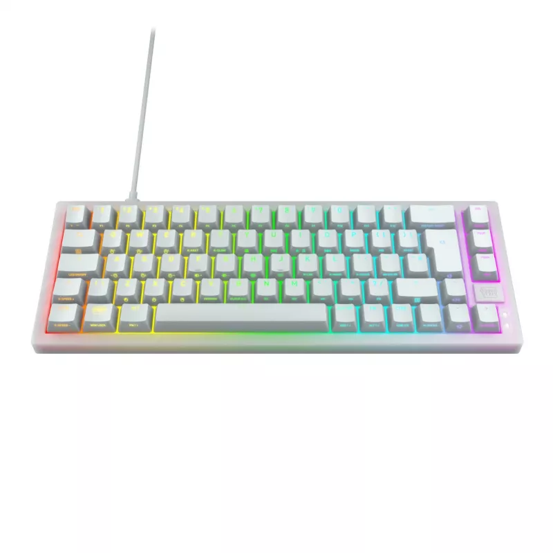 CHERRY K5V2 kompakta tastatūra spēlēm USB QWERTZ vācu balta 68 taustiņi RGB LED