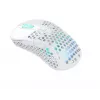 Pele Xtrfy M4 RGB RF Wireless Optical 19000 DPI