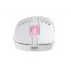 Pele Xtrfy M4 RGB RF Wireless Optical 19000 DPI