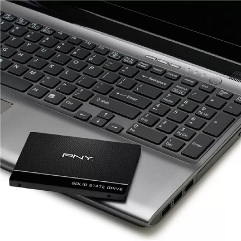SSD disks PNY 250 GB 2,5 collu Serial ATA III SSD7CS900-250-RB
