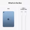 APPLE iPad (2025) - 11 collas - Wi-Fi - 256 GB - Zils