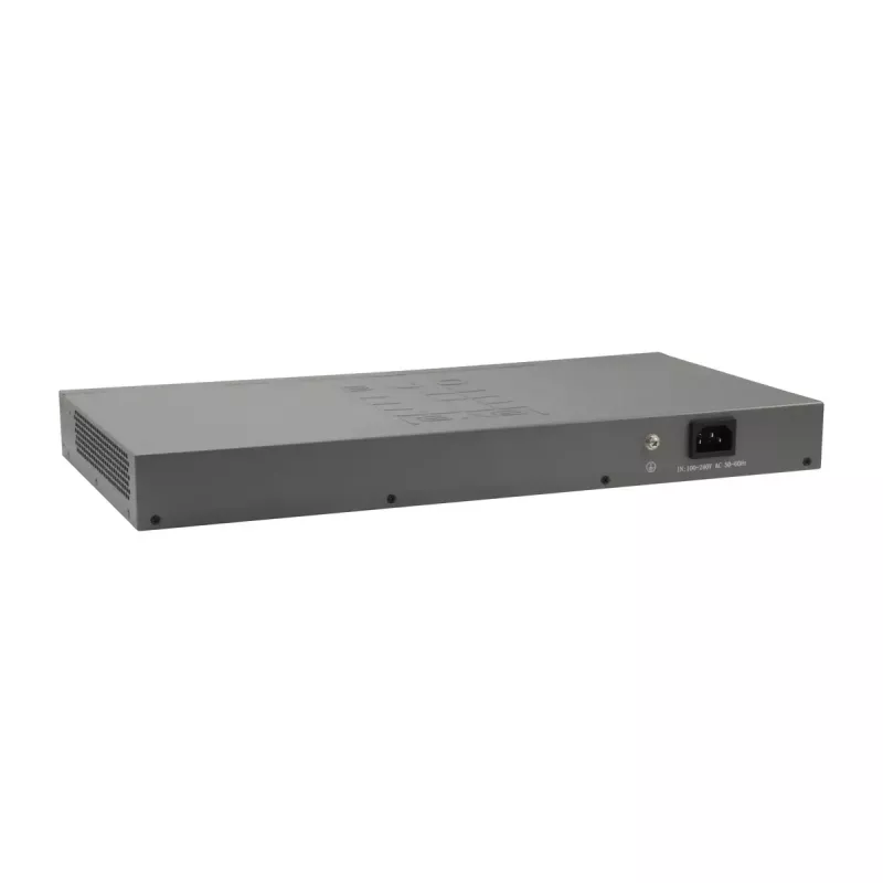 LevelOne 50 portu Fast Ethernet slēdzis, 2 x Gigabit SFP/RJ45 Combo