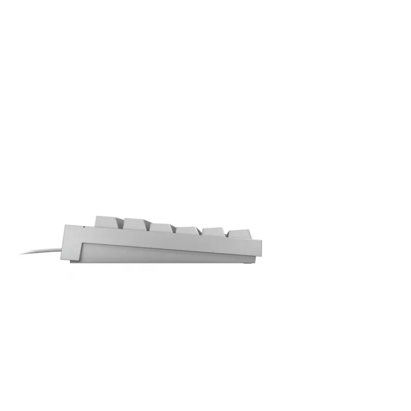 Spēļu tastatūra CHERRY MX 2.0S RGB pilna izmēra USB QWERTZ balta