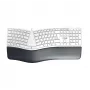 CHERRY KC 4500 ERGO tastatūra universāla USB QWERTZ vācu valoda balta