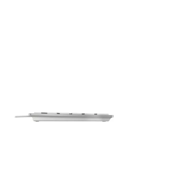 CHERRY KC 6000C FOR MAC tastatūra, universāla, USB, QWERTZ, vācu, sudraba krāsa