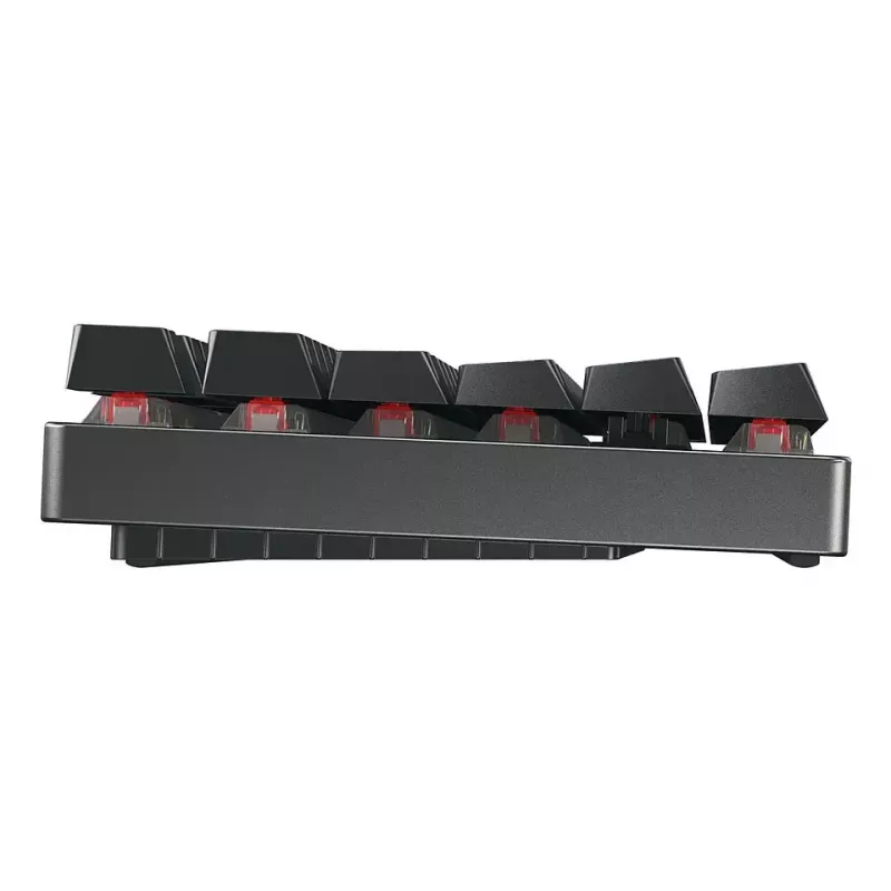 CHERRY MX 8.2 TKL Wireless RGB tastatūra Gaming USB + RF Wireless + Bluetooth QWERTZ Vācu Melna